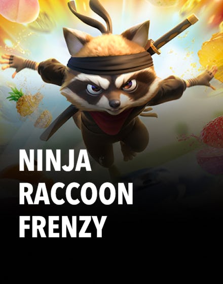 Ninja Raccoon Frenzy